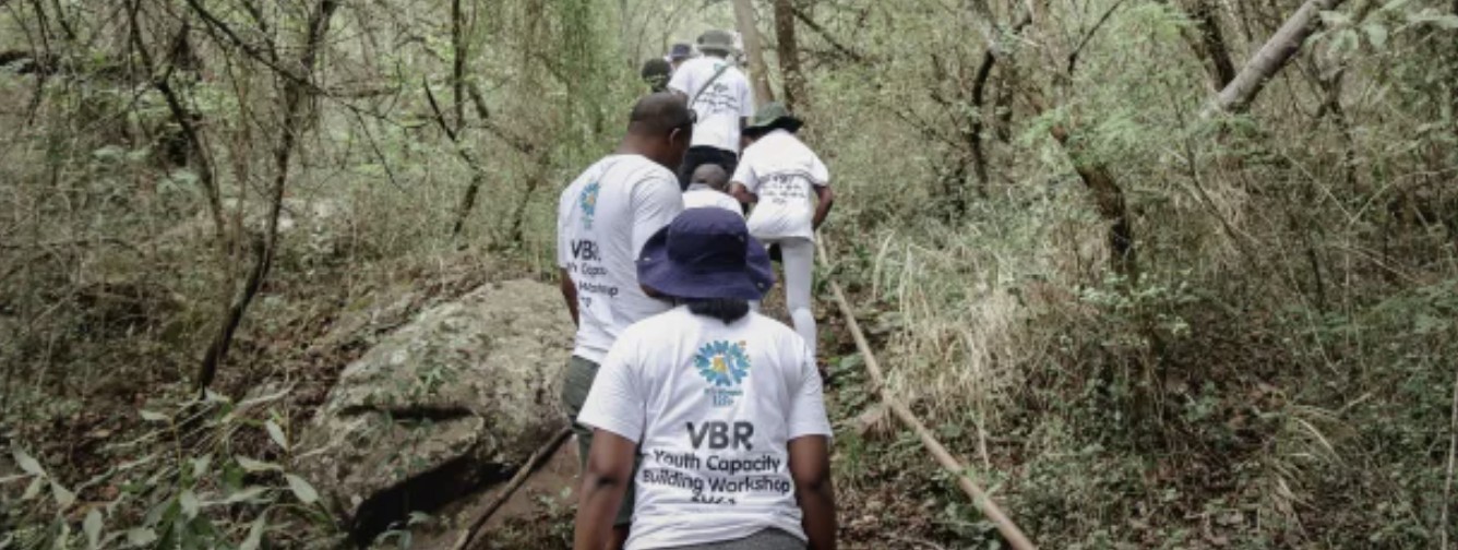 Banner_CS_Vhembe.jpg