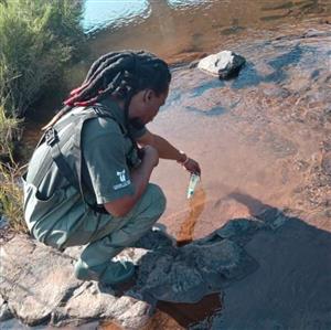 K2C_BR_CS_3.jpg