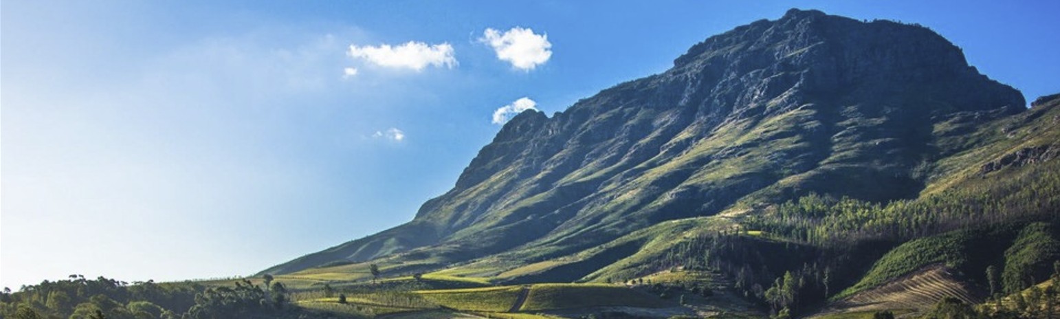 Banner2.jpg